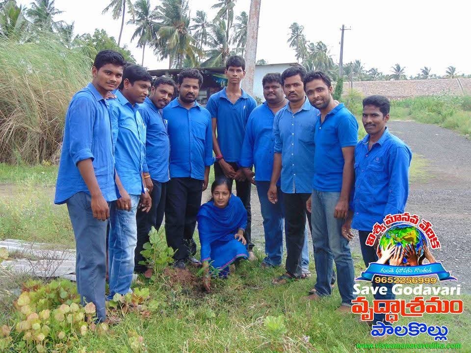 Plantation